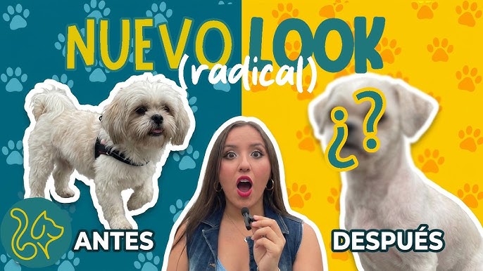 Thumbnail Puppy Time